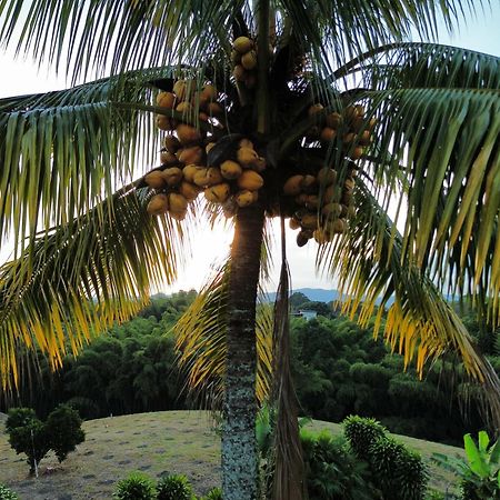 Finca Hotel Los Cocos Montenegro Luaran gambar