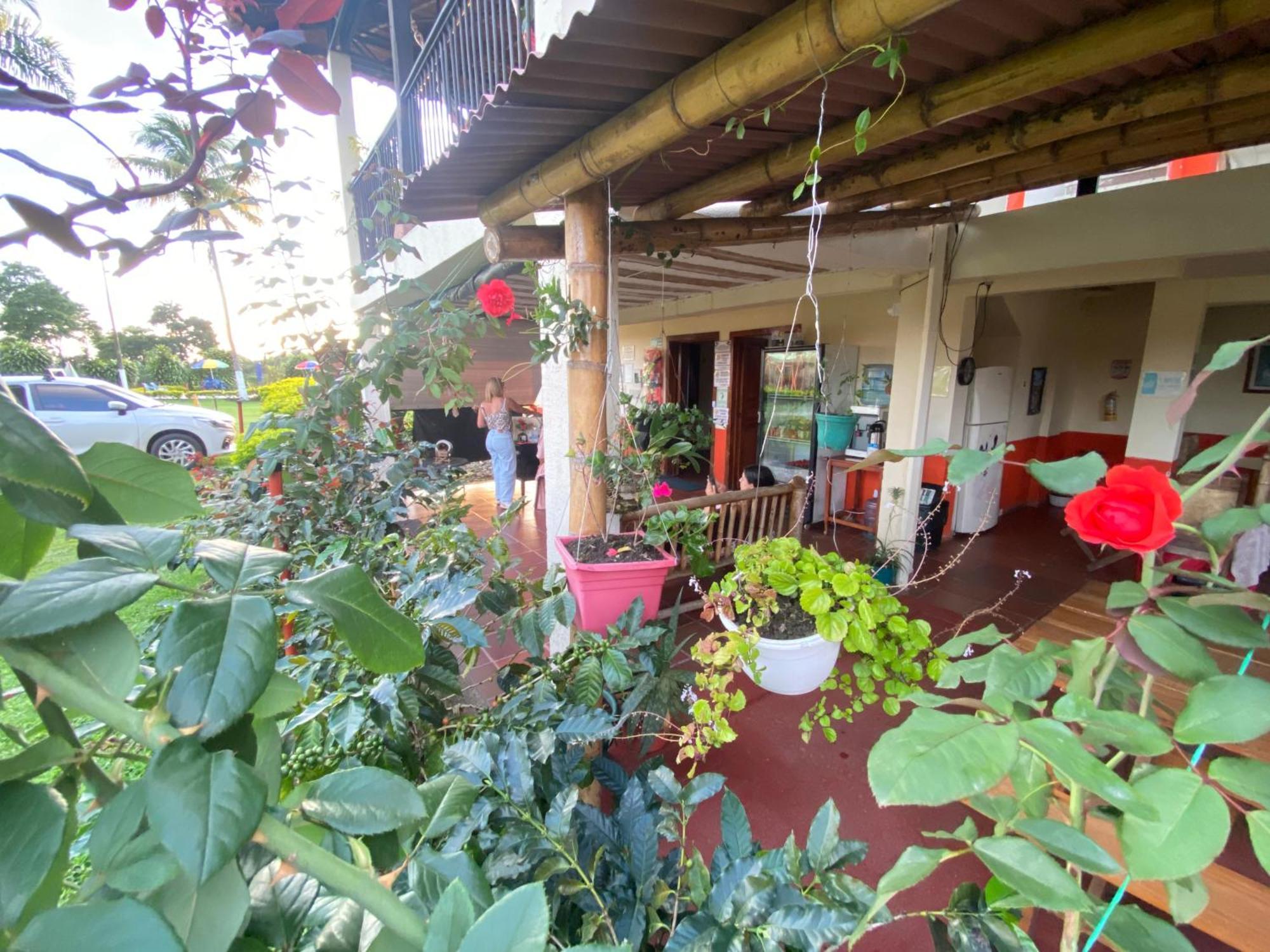 Finca Hotel Los Cocos Montenegro Luaran gambar